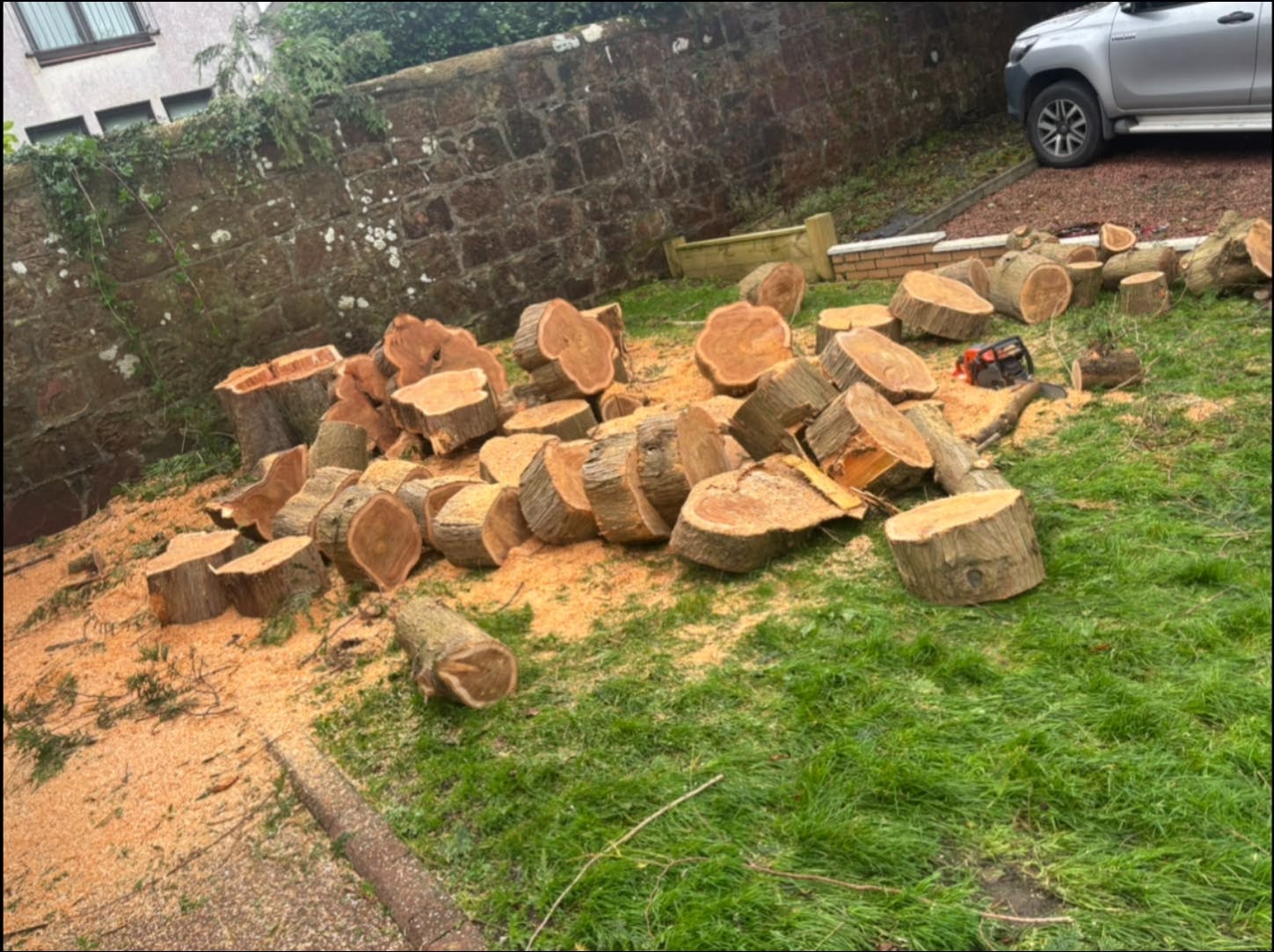 Large timber rounds safely cut and sectioned in a garden
