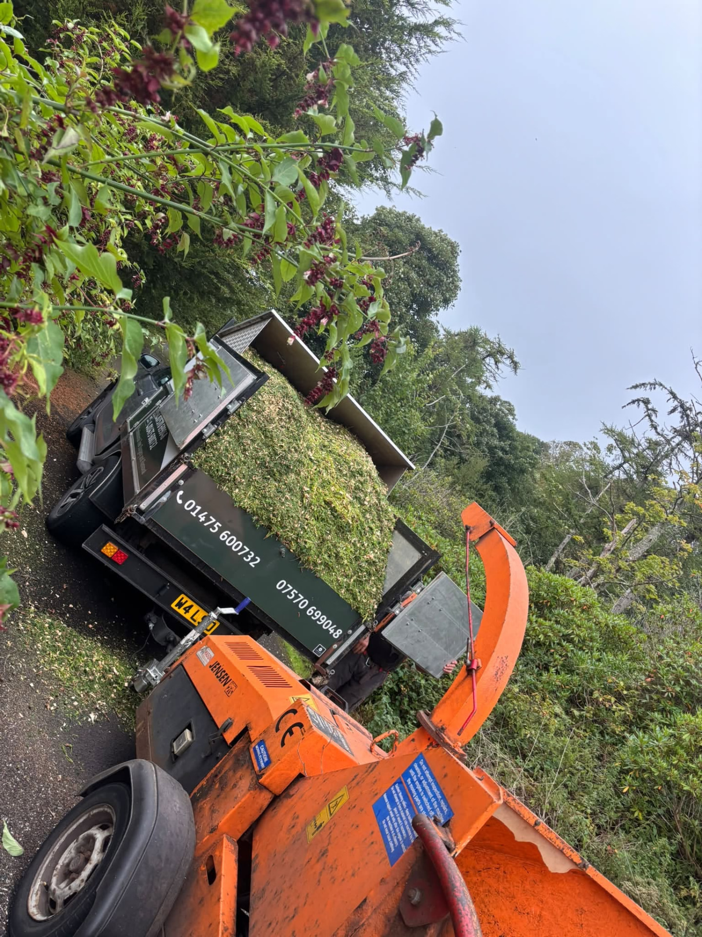 Wood chipper processing branches into the Altern Tree Services tipper